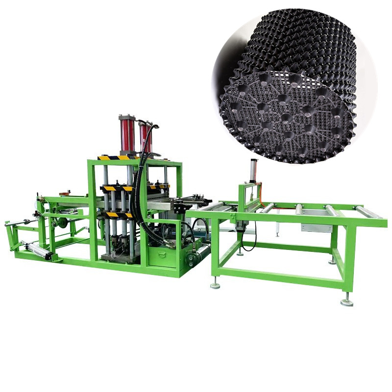 ພືດການໂອນຍ້າຍຮາກ